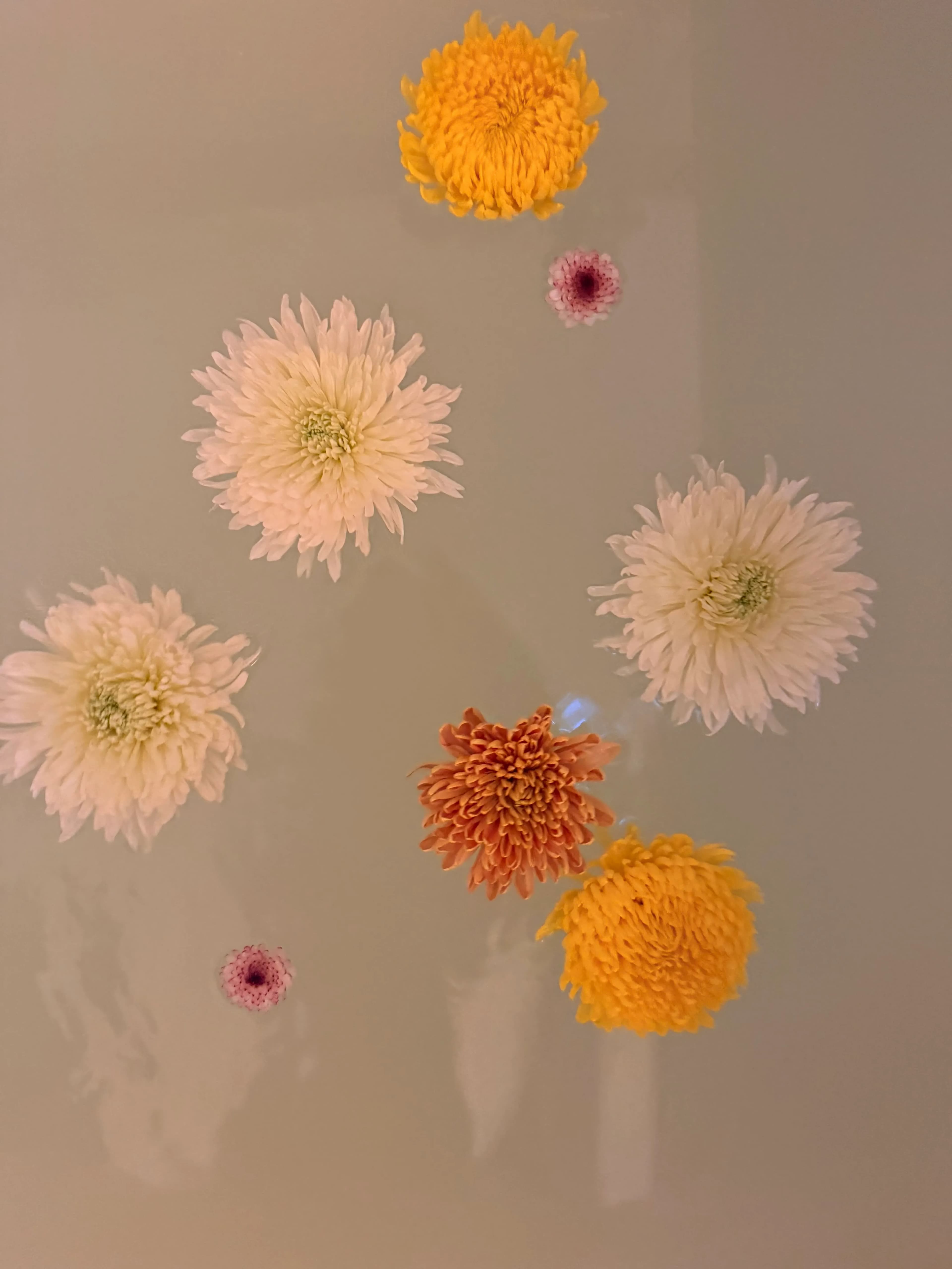 Baño de Flores